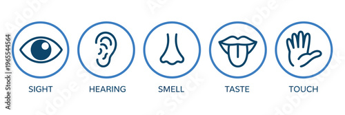 Five human senses icon set with editable stroke outline, featuring ear, eye, nose, lips, and hand, minimalist flat vector illustration representing the human nervous system