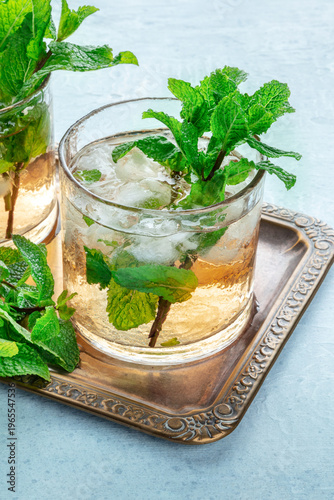 Wallpaper Mural Mint Julep, the classic Kentucky Derby cocktail, with fresh mint and crushed ice, a close-up on a tray Torontodigital.ca