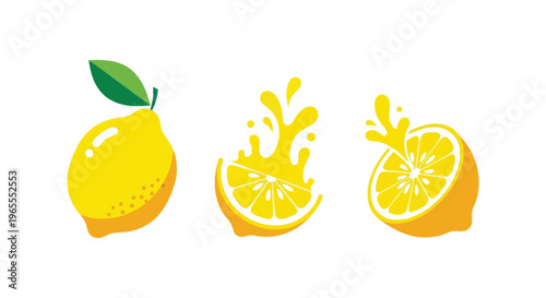 Vector graphic illustration of lemons and lemon slices with juice splash