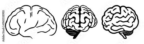 Brain synapse set with solid black icon, white background featuring neurological, neural, medical illustrations with vector and iconography