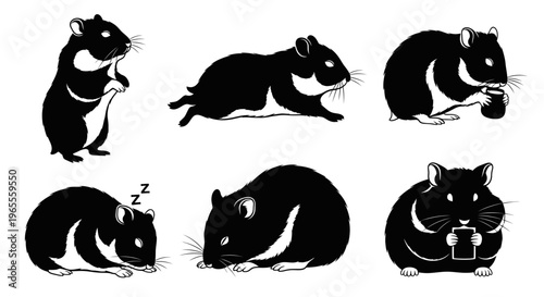 Cute Hamster Illustrations: Sleeping, Running, Eating, Using Phone, Standing