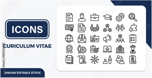 Curriculum vitae icons set