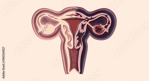 Abstract layered female reproductive system, pink and purple tones
