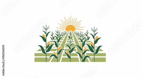 Stylized sun shining over a lush cornfield with rows of ripening crops