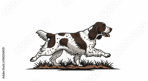 A brown and white spotted dog runs through grass, with its tongue out
