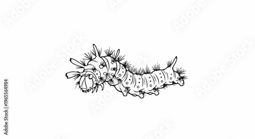 Stylized line drawing of a segmented caterpillar with spines and circles