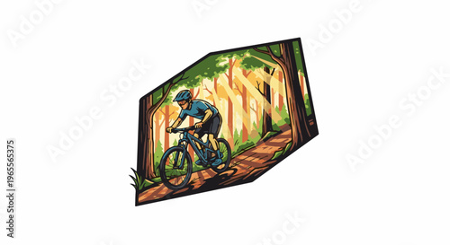Cyclist rides down a sunlit forest trail on a mountain bike