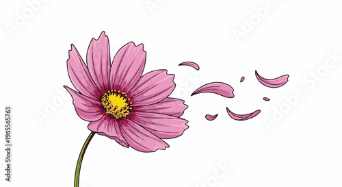 Delicate pink flower with yellow center shedding petals in wind