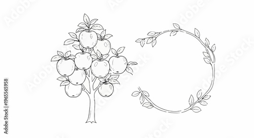 Sketch of an apple tree with ripe fruit next to a leafy vine circle