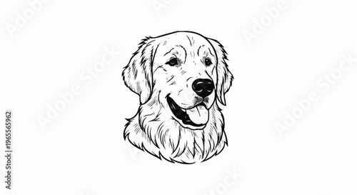 Sketch of a happy golden retriever's head on a white background
