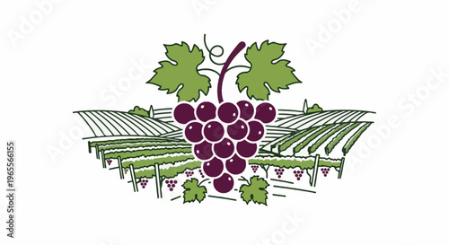 Stylized illustration of a grape cluster over a vineyard landscape