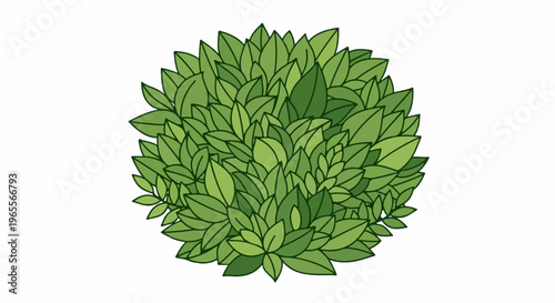 A dense, rounded cluster of green leaves, artfully rendered