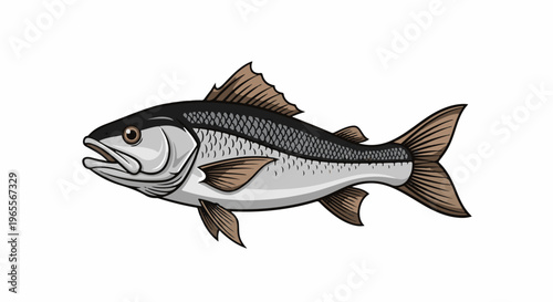 A profile illustration of a sleek fish with silver scales and brown fins.