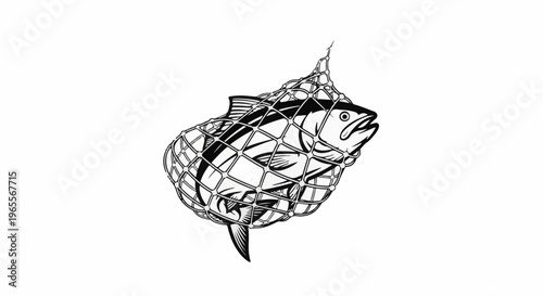 Black and white illustration of a fish caught in a net