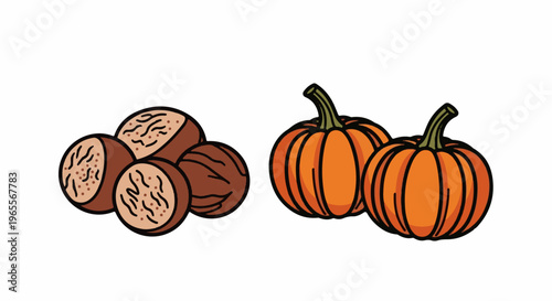 Cartoon nuts and pumpkins on a white background