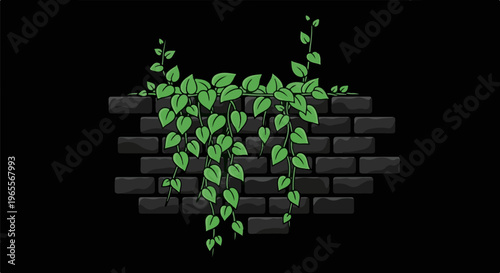 Green vines cascade down a dark brick wall
