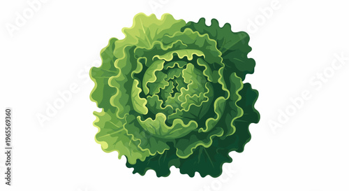 Vibrant, crisp green lettuce head with ruffled leaves, isolated