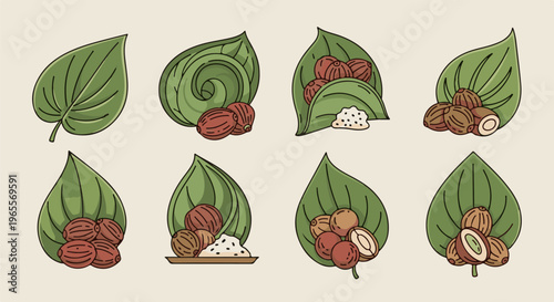 Illustration of eight stages of preparing betel nut with leaves and spices