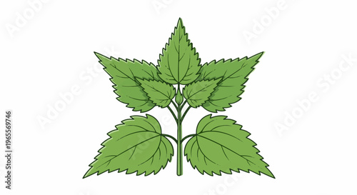 A stylized green plant with serrated leaves and a central stem