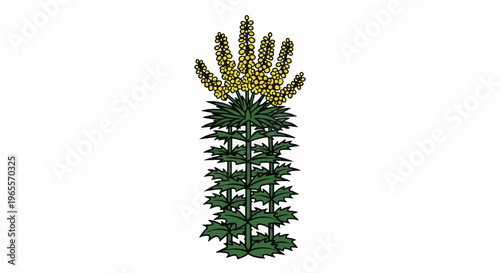 Tall green plant with a plume of yellow flowers at the top