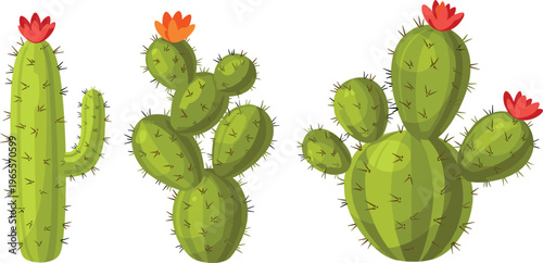 Set of Blooming Cactus Vector Illustrations with Prickly Pear and Saguaro Plants Featuring Colorful Flowers for Desert, Botanical, and Nature Designs