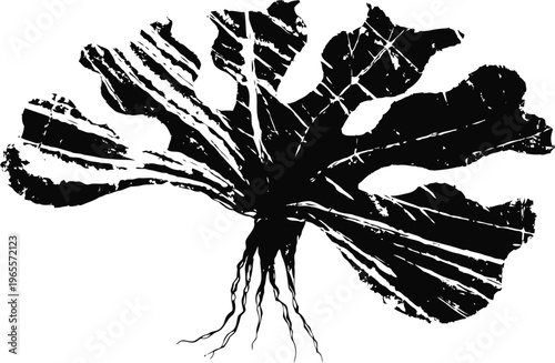 Silhouette of a broad leaved plant with visible roots and detailed veins in black and white