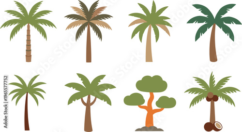 Palm tree vector collection with tropical trees coconut plants and exotic nature elements flat design summer landscape icons isolated on white background