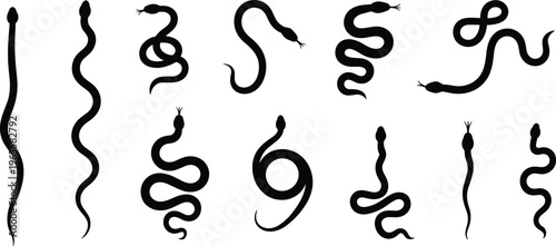 Collection of black snake silhouettes including diverse serpent shapes crawling cobras pythons and minimalist reptile icons isolated on white background for wildlife design projects and graphics