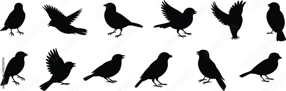Fototapeta premium Set of bird silhouettes in different poses isolated on white background, flying and sitting birds collection, vector illustration for wildlife, nature, and design