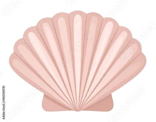 A flat, vector illustration depicting a clam shell. The shell is light pink and has a ribbed, fan-like pattern. It is isolated on a white background