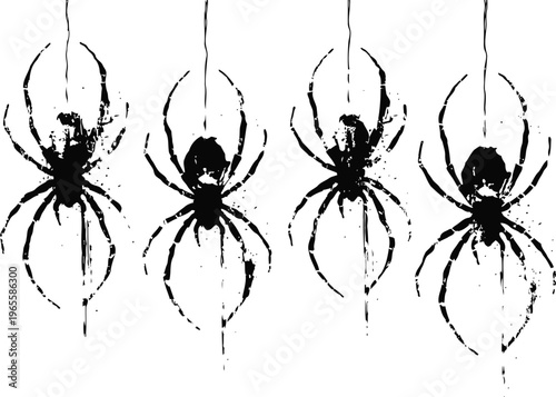 four black spiders hanging on silky thread isolated on white background