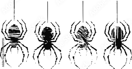 four detailed black spider illustrations hanging on threads with varied body patterns and leg positions