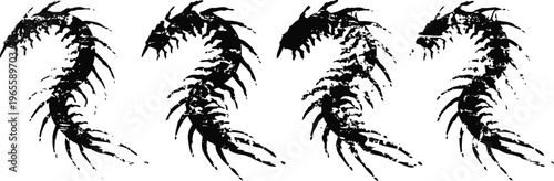 black centipede silhouettes in various poses isolated on white background, insect vector illustrations