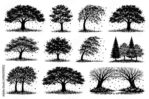 Collection of twelve detailed tree silhouettes in various shapes and styles.