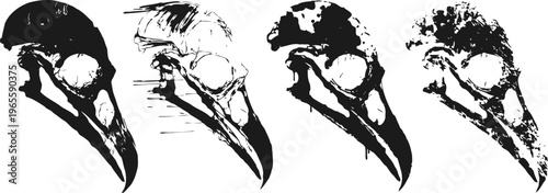 Set of four detailed bird skull illustrations in black and white, side profile views with anatomical precision