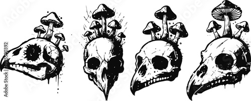 bird skulls with mushrooms growing through and around them in black ink illustration