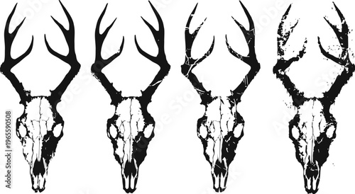 deer skull illustration progression from detailed to distressed ink black and white design