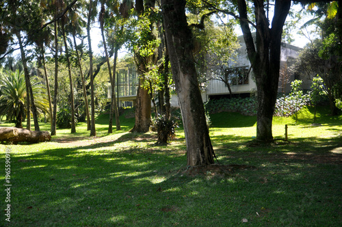 Jardim Botanico-São Paulo 