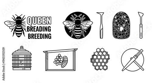 Bee Keeping Icons Set, Apiary Equipment, Queen Bee Line Art