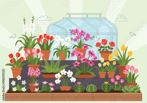 Vibrant indoor plant display with diverse potted flowers and succulents.