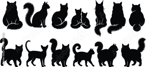 Full Length Silhouette of an Old Fisherman Standing on a Traditional Wooden Boat and Throwing a Large Cast Net into the Calm Lake Water During