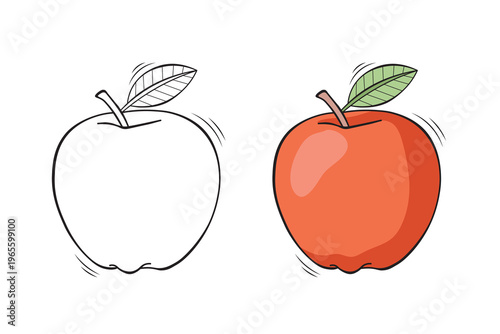 Hand drawn apple outline and colored version, simple fruit vector illustration for coloring books