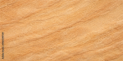 Natural brown wood texture background featuring a rustic timber plank pattern with detailed oak grain and an old pine board surface design for a hardwood floor or wall panel