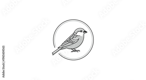 Detailed monochrome line art illustration of a small songbird, possibly a sparrow, perched within a clean circular frame