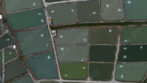 Aerial view of shrimp farms with rectangular ponds and water aerators creating white splashes in Kaohsiung City, Taiwan.