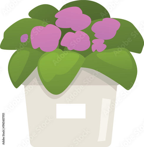 Purple flowers plant in white pot flat vector icon, cartoon potted blossom violet flowers in container, bloom foliage