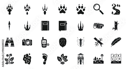 Nature exploration icons: animal tracks, binoculars, camera, map, magnifying glass