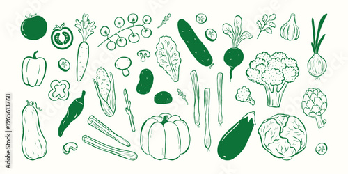 Hand drawn ink sketch vegetable set in green line art and flat shapes. Ideal for packaging, farm branding, menus, posters, recipe cards, stickers, and eco themed design. Vector illustration