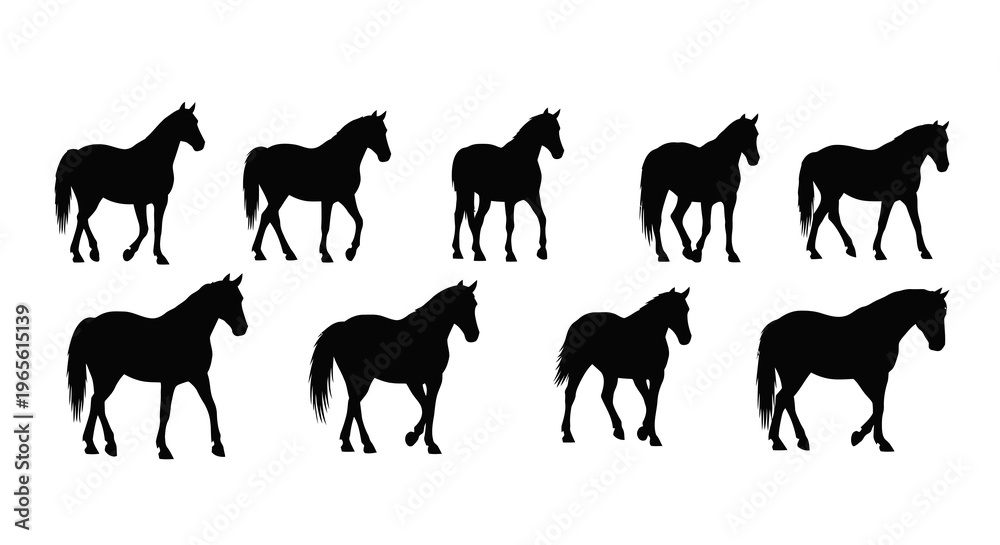 Obraz premium Black Horse Silhouettes Vector Set - Animals Nature