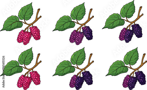 Diverse active family and children running and jogging in athletic wear flat vector character set